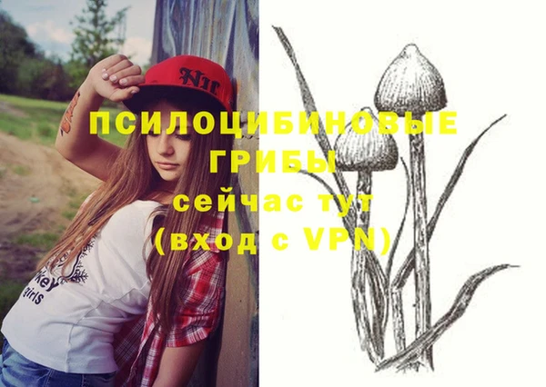 эйфоретик Алексеевка